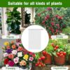 Bulk Non Woven Anti UV Sun Insect Frost Bird Protection Flower Fruit Vegetable Drawstring Garden Plant Protection Mesh Cover - Image 4