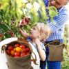 Hot Selling Bulk Custom Logo Outdoor Camping Garden Foldable Canvas Fruit Vegetable Storage Bag Foraging bag - Image 2