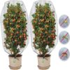 Bulk Non Woven Anti UV Sun Insect Frost Bird Protection Flower Fruit Vegetable Drawstring Garden Plant Protection Mesh Cover